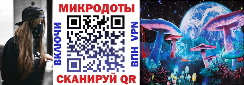 Галлюциногенные грибы Psilocybe  Тюкалинск 